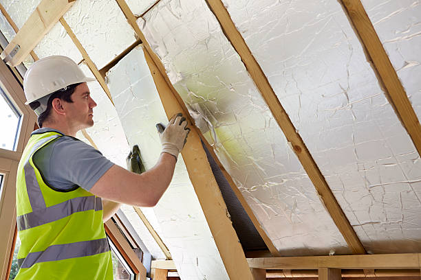 Types of Insulation We Offer in Campo, CA